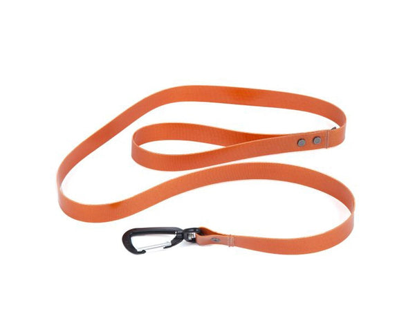 Fishpond Salty Dog Leash - Spawn Fly Fish - Fishpond