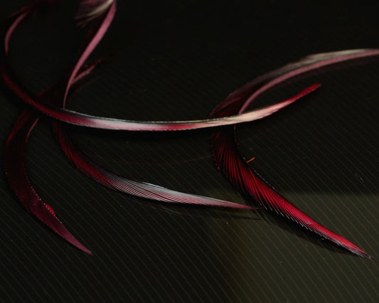 Nature's Spirit Stripped Goose Biot - Spawn Fly Fish - Nature's Spirit