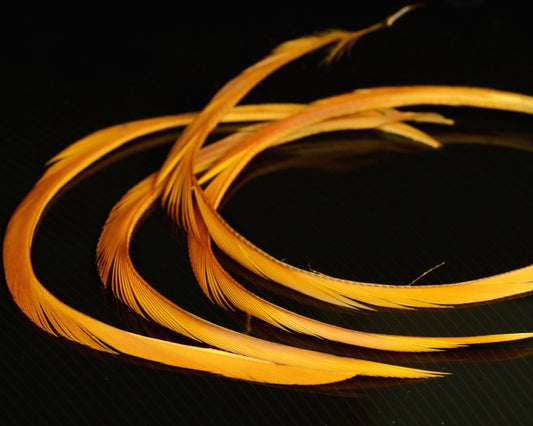 Nature's Spirit Stripped Goose Biot - Spawn Fly Fish - Nature's Spirit