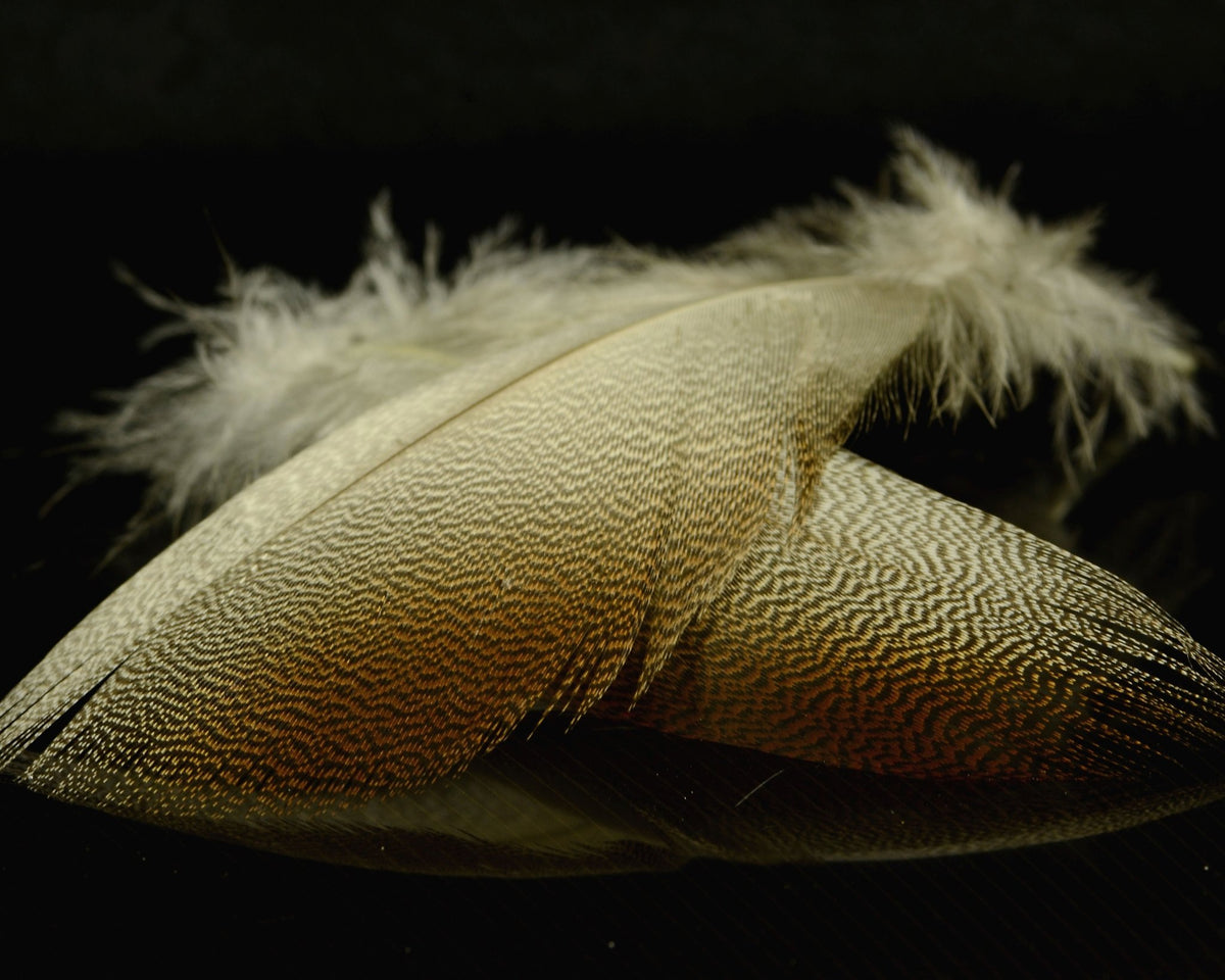 Spawn Flies Spawn Super Select Bronze Mallard | Spawn Fly Fish – Spawn Fly Fish