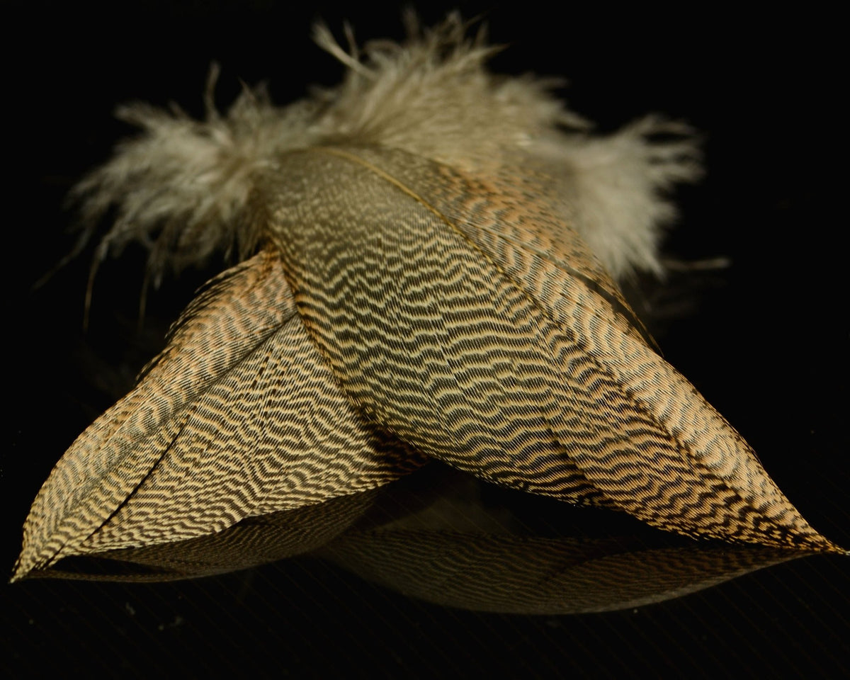 Super Select American Widgeon -Shoulder | Spawn Fly Fish – Spawn Fly Fish