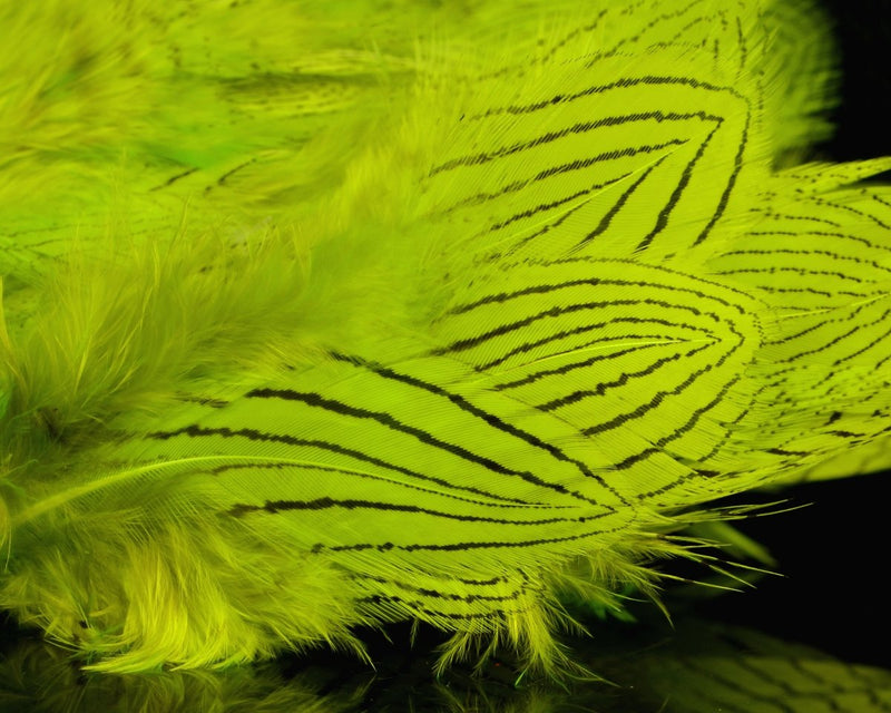 Silver Pheasant Body Feathers - Spawn Fly Fish - Hareline Dubbin