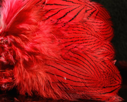 Silver Pheasant Body Feathers - Spawn Fly Fish - Hareline Dubbin