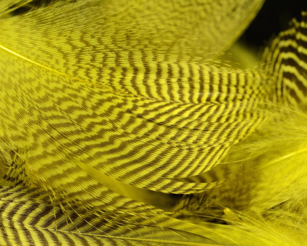Hareline Teal Flank Feathers - Spawn Fly Fish - Hareline Dubbin