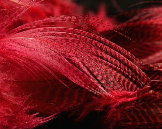 Hareline Teal Flank Feathers - Spawn Fly Fish - Hareline Dubbin