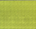 Wapsi Thin Skin Mini Fly Specks - Spawn Fly Fish - Wapsi