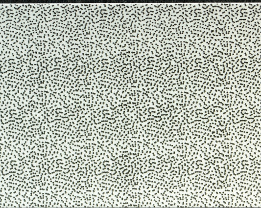 Wapsi Thin Skin Fly Specks - Spawn Fly Fish - Wapsi