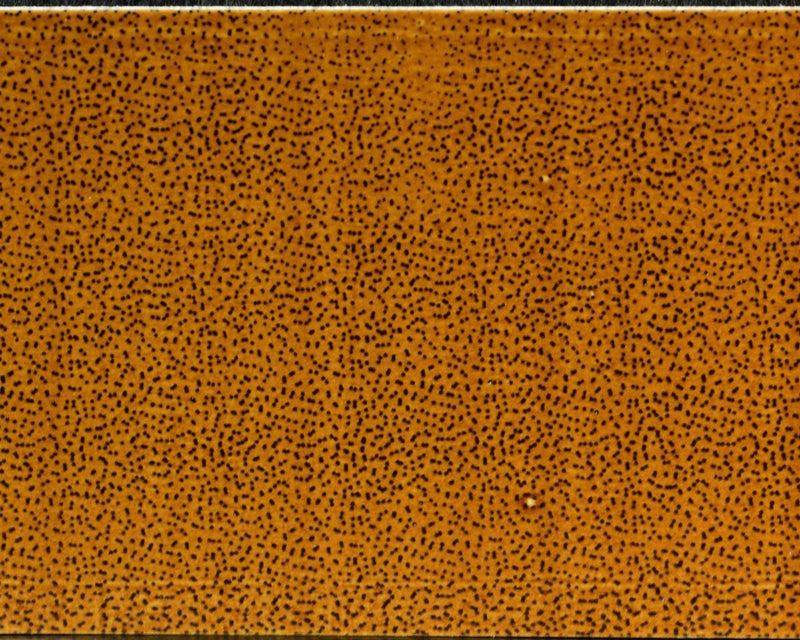 Wapsi Thin Skin Fly Specks - Spawn Fly Fish - Wapsi