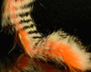 Hareline Magnum Tiger Barred Rabbit Strips - Spawn Fly Fish - Hareline Dubbin