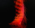 Hareline Magnum Tiger Barred Rabbit Strips - Spawn Fly Fish - Hareline Dubbin