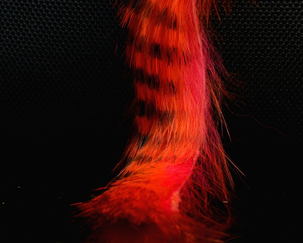 Hareline Magnum Tiger Barred Rabbit Strips - Spawn Fly Fish - Hareline Dubbin