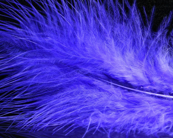 ECHO Boost Blue Fly Rod - Spawn Fly Fish– Spawn Fly Fish