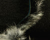 Hareline Crosscut Shimmer Rabbit Strips - Spawn Fly Fish - Hareline Dubbin